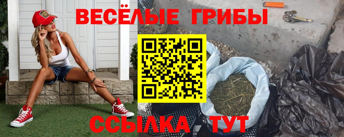 Галлюциногенные грибы Psilocybe Владикавказ